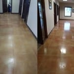 Stain Concrete