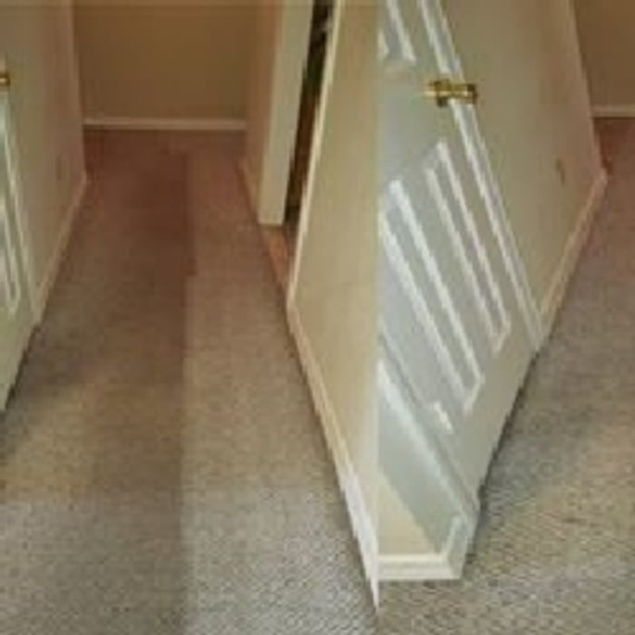 Carpet