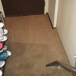 hallway car pet