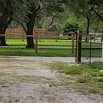 Horse/Cattle fence