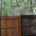 section of power washed privacy fence