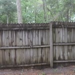 privacy fence before it has been cleaned