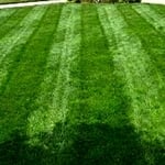 OUR QUALITY OF WORK