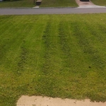 Yard work