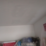 drywall repair and paint