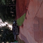 After trees removed and graded
