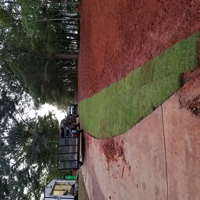 After trees removed and graded