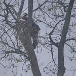 CLIMBING