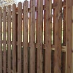 Cedar Fence