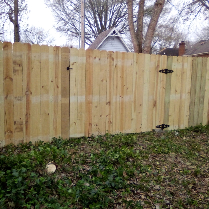 Treated Pine Fence