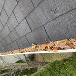 Clean Gutter