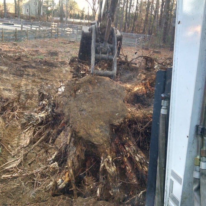 excavating stumps
