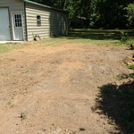 96" live oak stump (after)