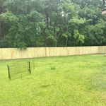 Back Line