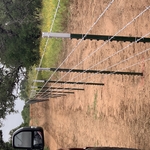 Fencing