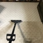Carpet cleaning