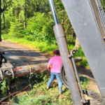 Limbing trees
