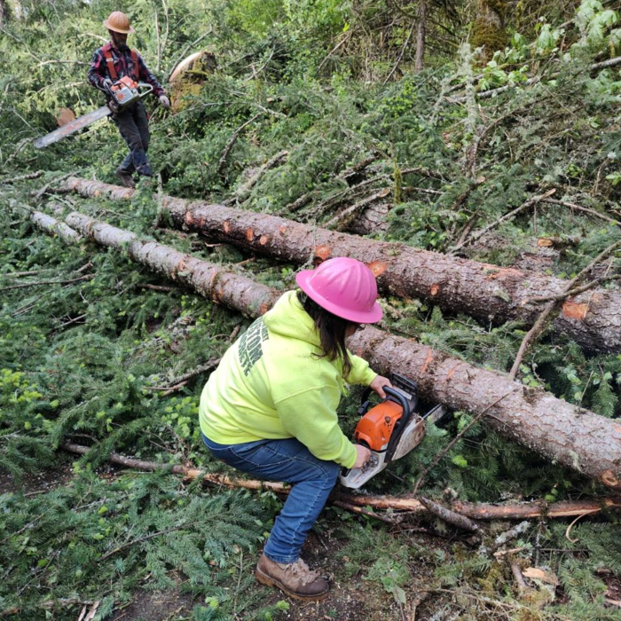 Limbing trees