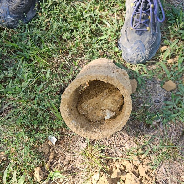6113 Excavation