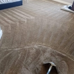 basic room steam cleaned