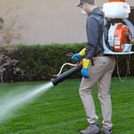 Bug and Pest Treatment