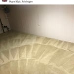 Cream Carpet