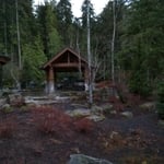Foliage overgrowth/ pruning cleanup