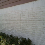 Buildup of mildew on brick siding