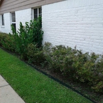 Brick siding completely mildew free