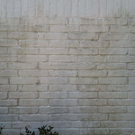 Closeup of mildew buildup