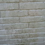 Closeup of mildew buildup