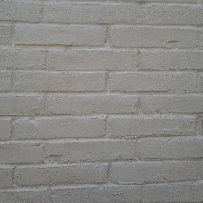Brick siding completely mildew free