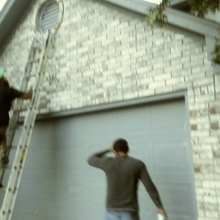 OUR WORK