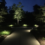 enhancing the night time beauty of your landscape