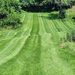 Mow 1