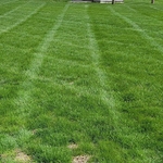 Mow 2