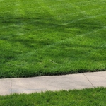 Mow 3