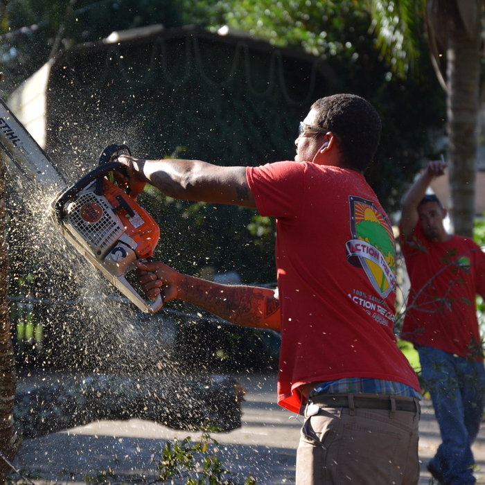 Tree Removal Deland