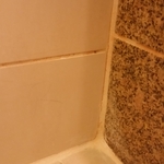 Cracked and deteriorated grout joints.
