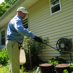 Eco-safe spray treatment for Ants, Spiders, &
