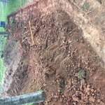 Wall