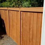 OUR WORK