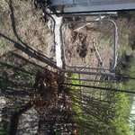 Gate placement