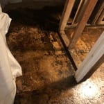 Mastic remover loosening mastic