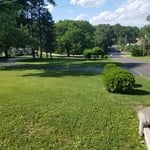 lawn