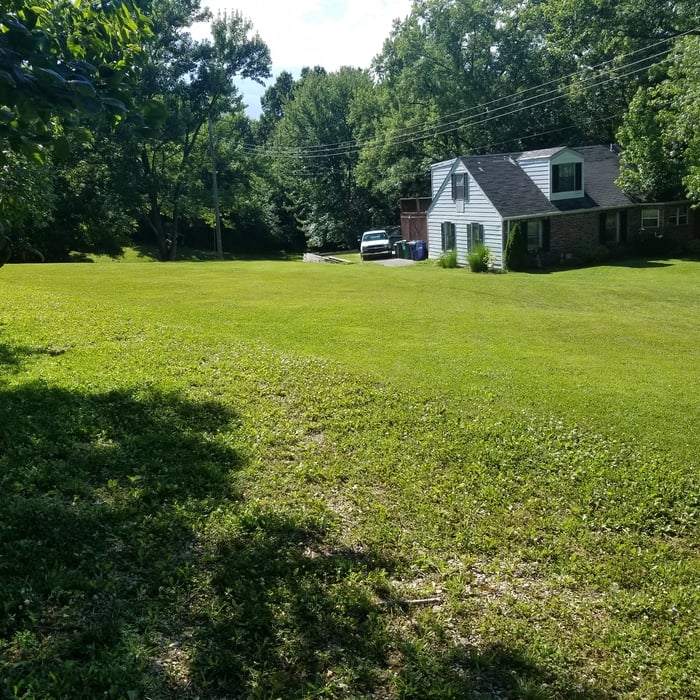lawn