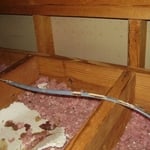 Chewed electrical wires in attic