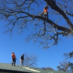 Removal over store