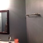 Bathroom Reno