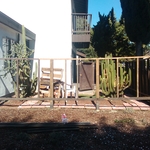 Fence replacement